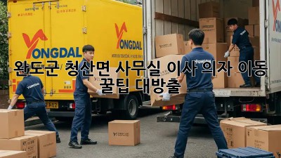 완도군 청산면 사무실 이사? 의자 이동 꿀팁 대방출! 🤩